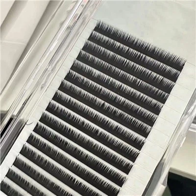 Ciglia della palpebra inferiore